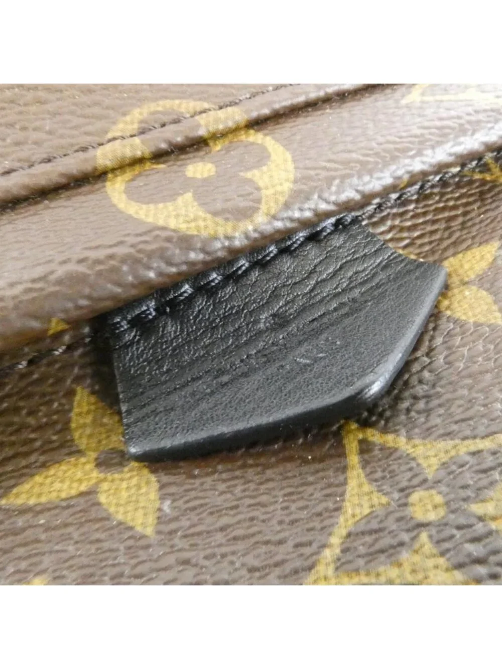 Louis Vuitton Monogram Palm Springs Backpack Mini